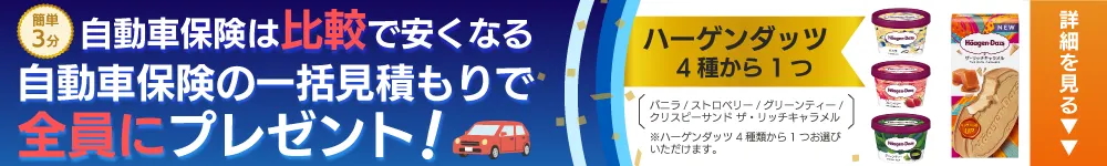 自動車保険一括見積もりバナー